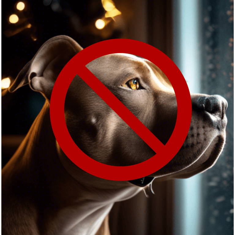 are red nose pitbulls illegal in australia